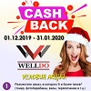АКЦИЯ - Новогодний CASHBACK! Продлена до 28.02.2020!