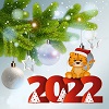 С Новым годом и Рождеством 2022!